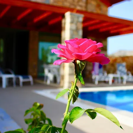 Estrella Villa Lardos