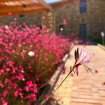 Villa Estrella *